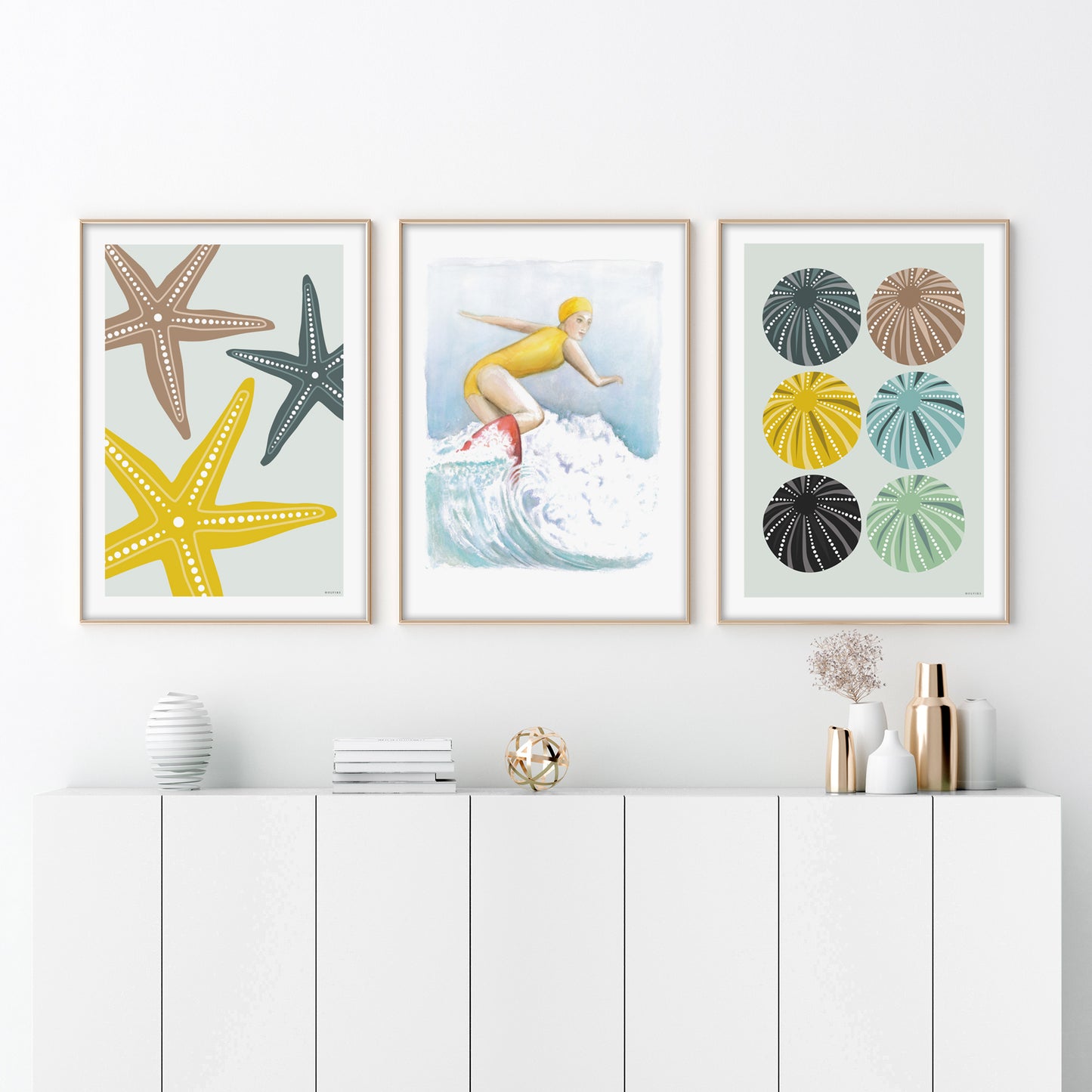 Sjøstjerner, Surfedama & Kråkeboller
