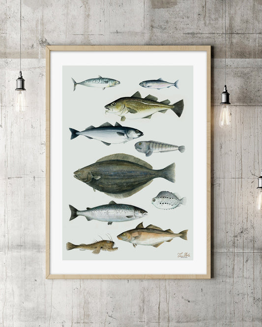 10 FISK, kunsttrykk