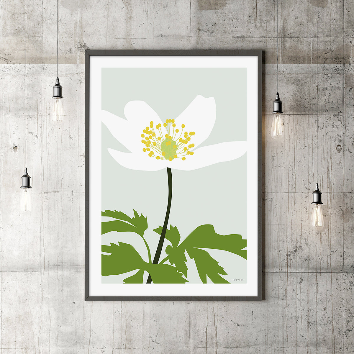 HVITVEIS, poster