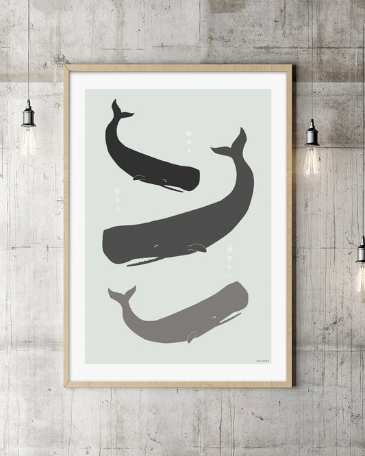 HVALDANS, poster