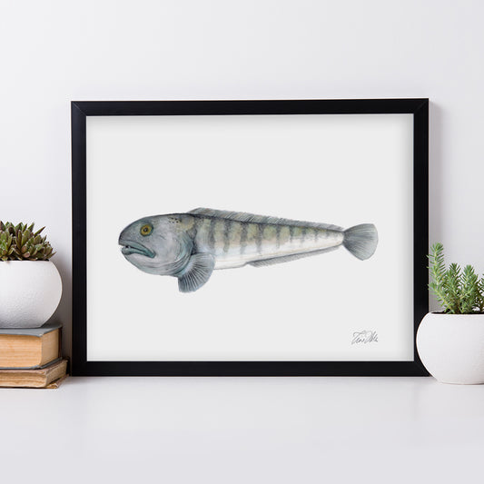 STEINBIT, kunsttrykk