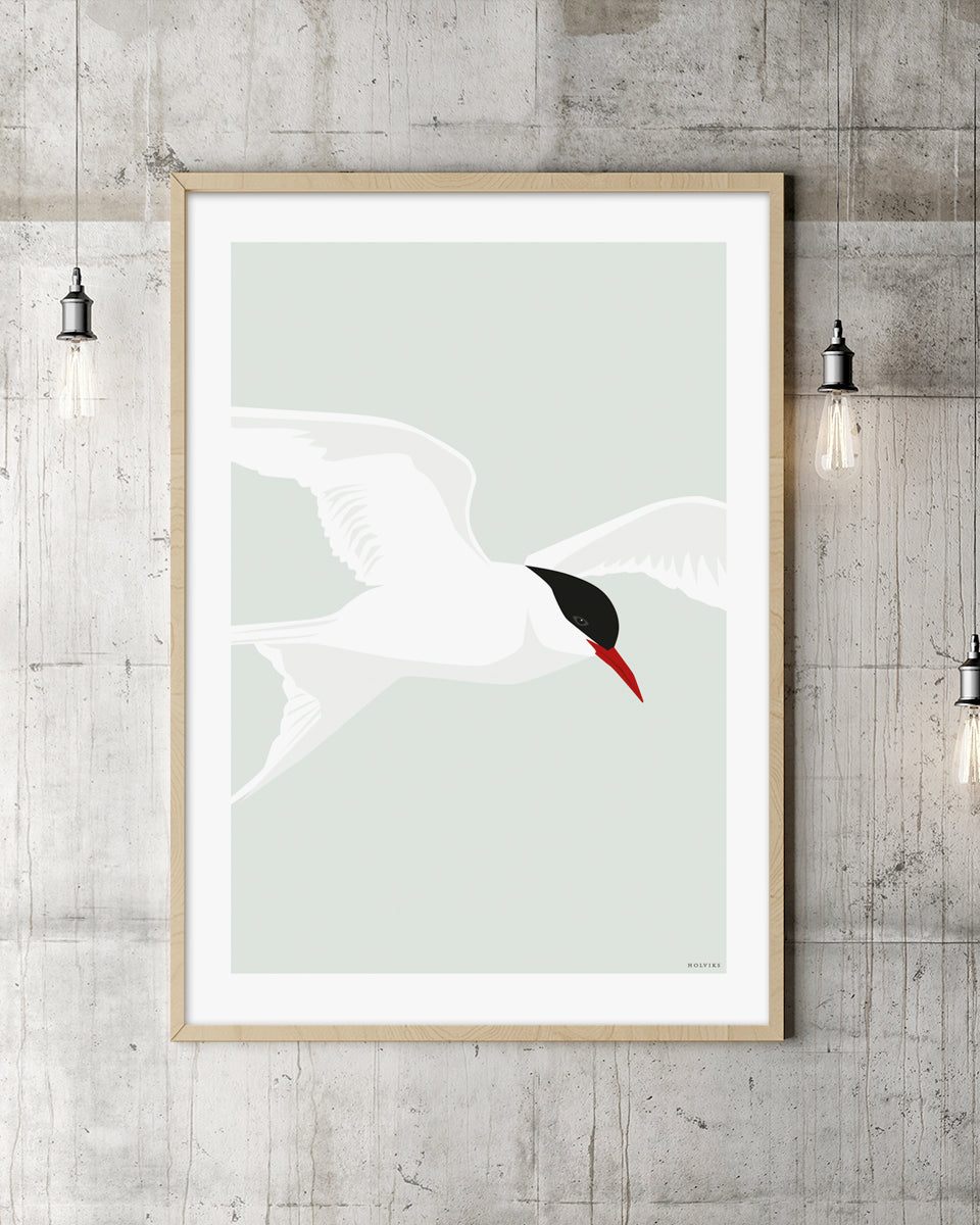 TERNE, poster