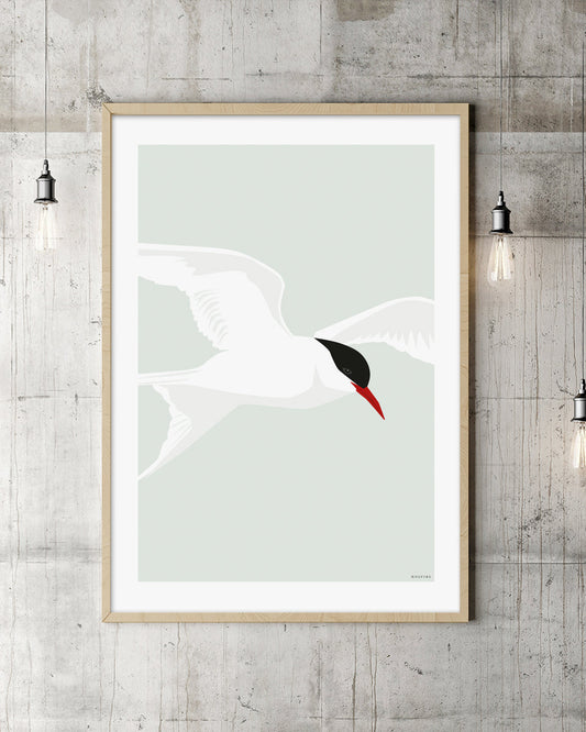 TERNE, poster