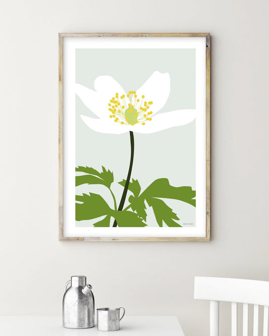 HVITVEIS, poster